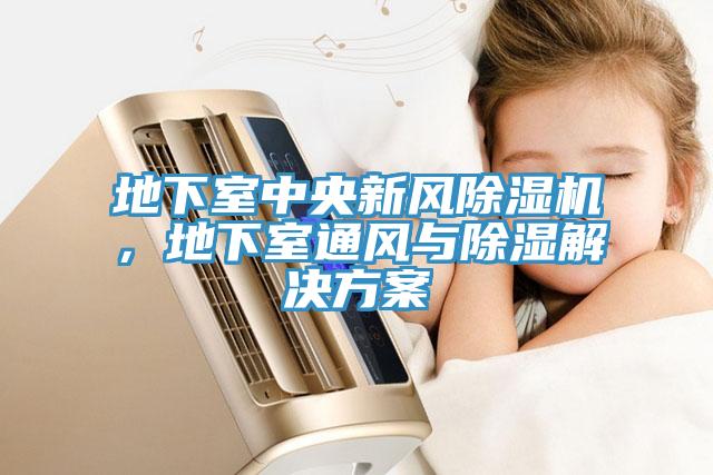 地下室中央新風除濕機，地下室通風與除濕解決方案