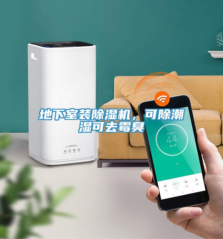 地下室裝除濕機，可除潮濕可去霉臭