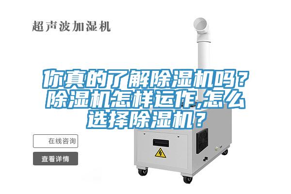 你真的了解除濕機(jī)嗎？除濕機(jī)怎樣運(yùn)作,怎么選擇除濕機(jī)？