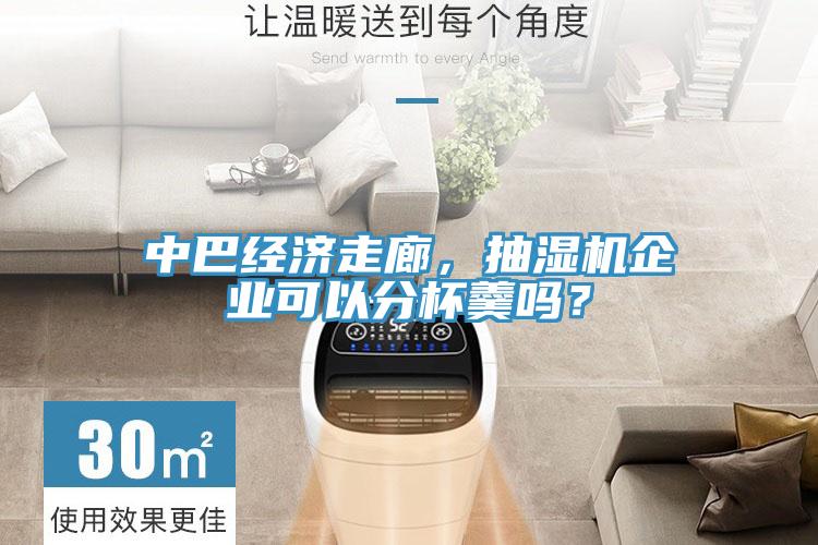 中巴經(jīng)濟(jì)走廊，抽濕機(jī)企業(yè)可以分杯羹嗎？