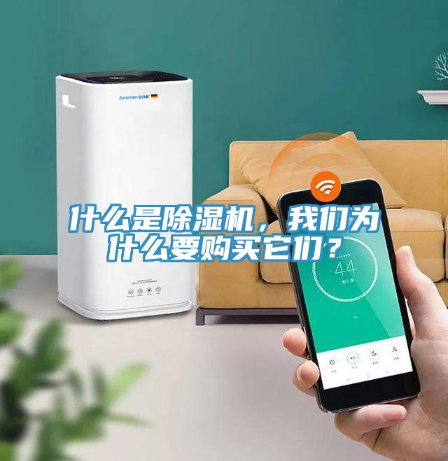 什么是除濕機(jī)，我們?yōu)槭裁匆?gòu)買(mǎi)它們？