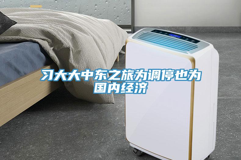 習大大中東之旅為調停也為國內經(jīng)濟