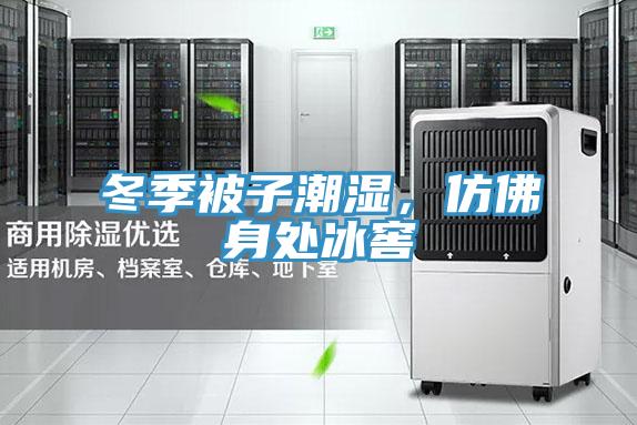 冬季被子潮濕，仿佛身處冰窖