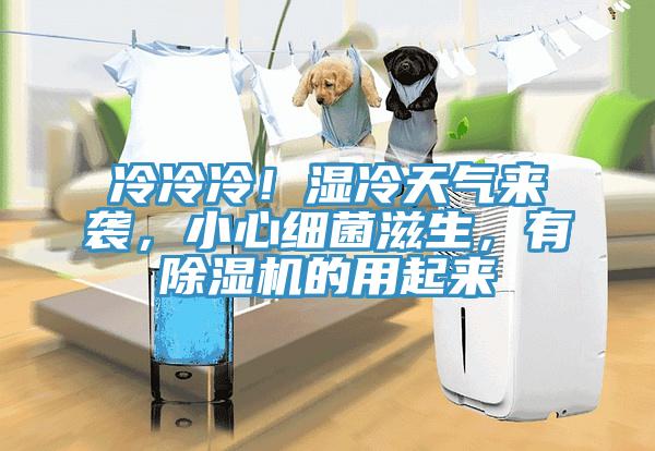 冷冷冷！濕冷天氣來襲，小心細(xì)菌滋生，有除濕機(jī)的用起來