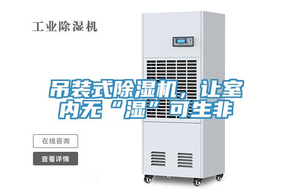 吊裝式除濕機，讓室內無“濕”可生非