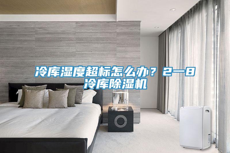 冷庫濕度超標(biāo)怎么辦？2一8℃冷庫除濕機(jī)