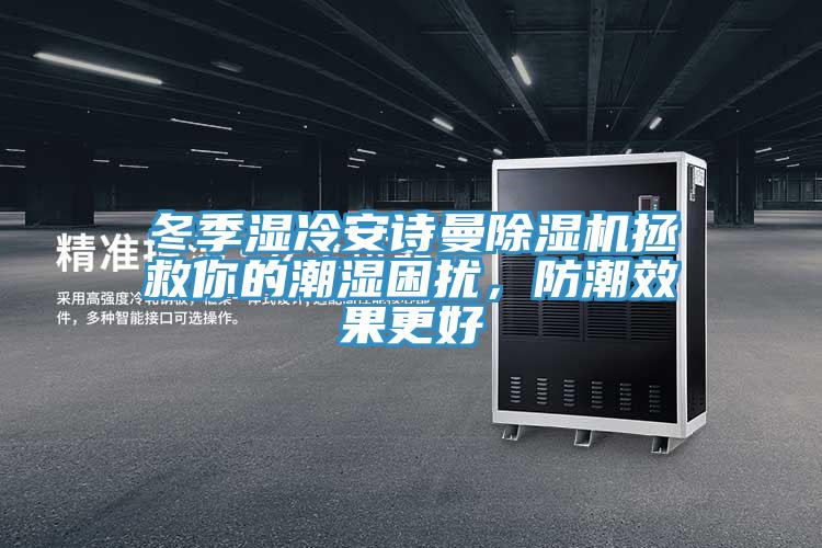 冬季濕冷安詩曼除濕機拯救你的潮濕困擾，防潮效果更好