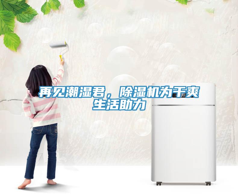 再見潮濕君，除濕機為干爽生活助力