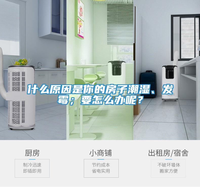 什么原因是你的房子潮濕、發(fā)霉；要怎么辦呢？