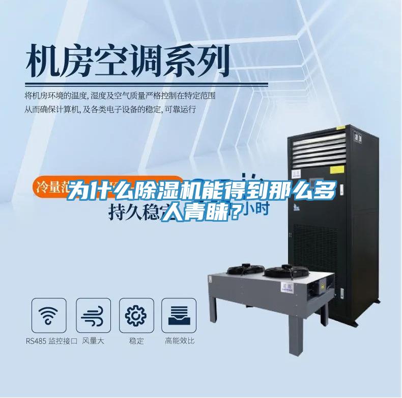 為什么除濕機能得到那么多人青睞？