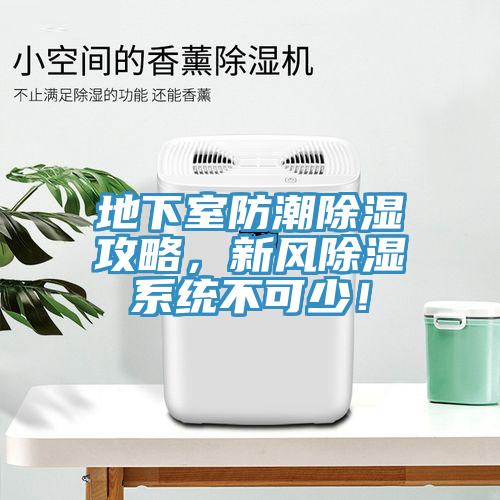 地下室防潮除濕攻略，新風除濕系統(tǒng)不可少！