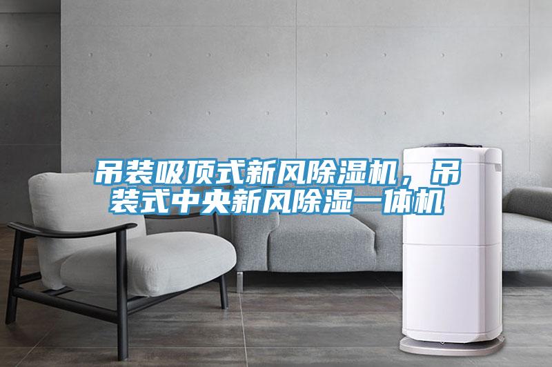 吊裝吸頂式新風除濕機，吊裝式中央新風除濕一體機