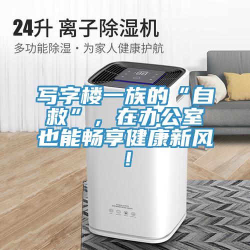 寫字樓一族的“自救”，在辦公室也能暢享健康新風！