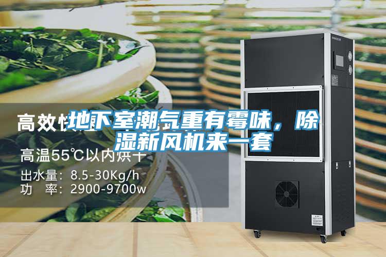 地下室潮氣重有霉味，除濕新風(fēng)機(jī)來一套
