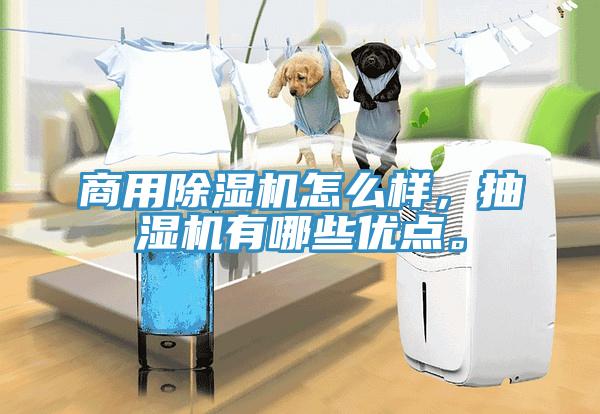 商用除濕機(jī)怎么樣，抽濕機(jī)有哪些優(yōu)點(diǎn)。
