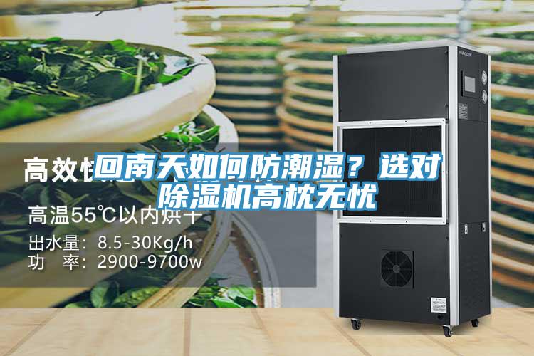 回南天如何防潮濕？選對除濕機高枕無憂