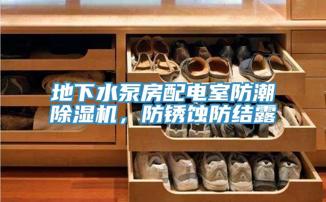 地下水泵房配電室防潮除濕機(jī)，防銹蝕防結(jié)露