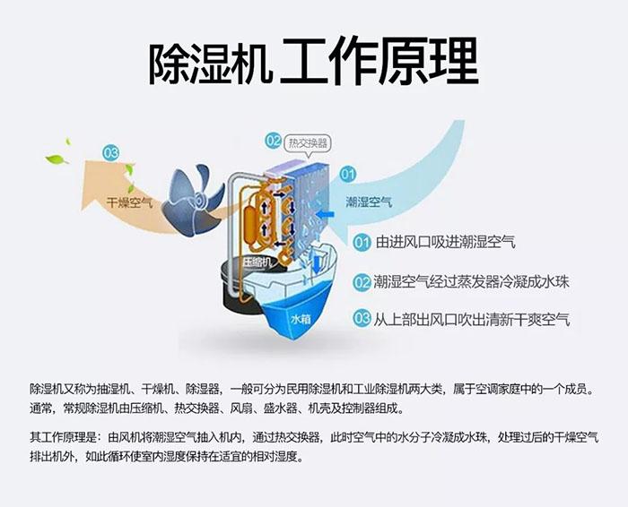 南方濕冷會致病你知道嗎？