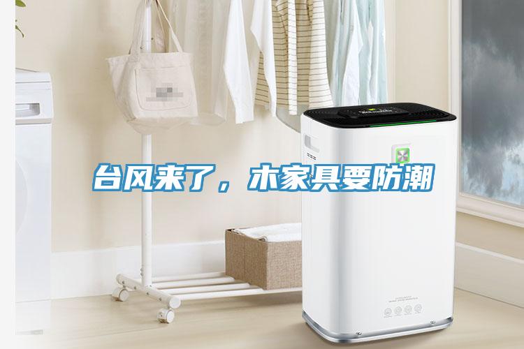 臺風(fēng)來了，木家具要防潮