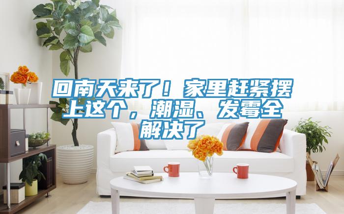 回南天來了！家里趕緊擺上這個(gè)，潮濕、發(fā)霉全解決了