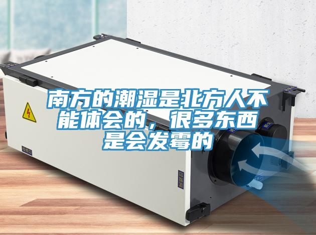 南方的潮濕是北方人不能體會的，很多東西是會發(fā)霉的