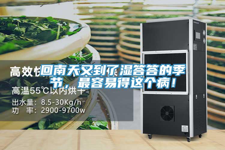 回南天又到了濕答答的季節(jié)，最容易得這個(gè)??！