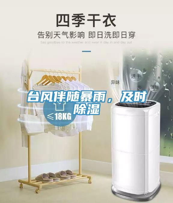 臺風伴隨暴雨，及時除濕