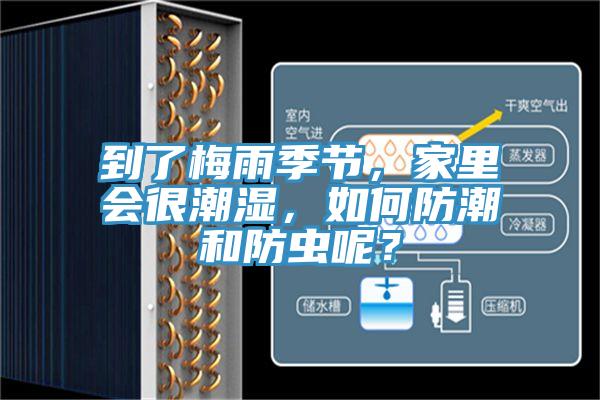 到了梅雨季節(jié)，家里會(huì)很潮濕，如何防潮和防蟲呢？
