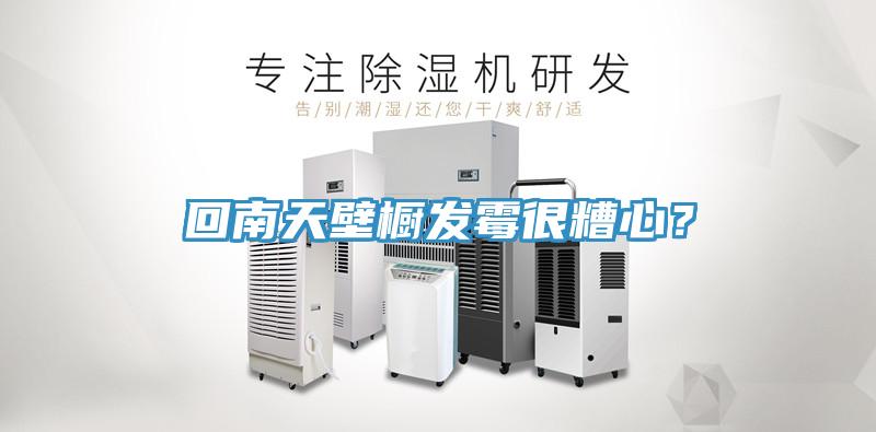 回南天壁櫥發(fā)霉很糟心？
