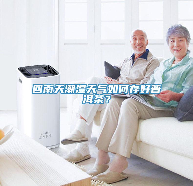 回南天潮濕天氣如何存好普洱茶？