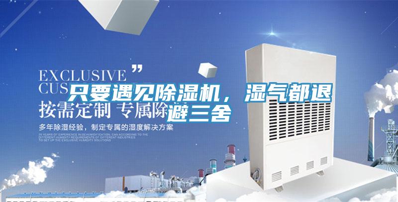 只要遇見除濕機，濕氣都退避三舍