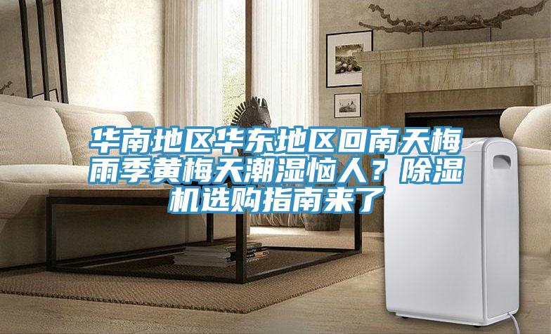 華南地區(qū)華東地區(qū)回南天梅雨季黃梅天潮濕惱人？除濕機選購指南來了
