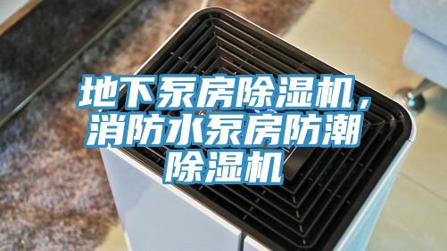 地下泵房除濕機(jī)，消防水泵房防潮除濕機(jī)