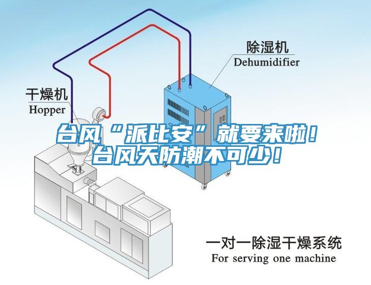 臺風“派比安”就要來啦！臺風天防潮不可少！