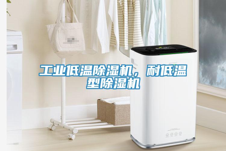 工業(yè)低溫除濕機(jī)，耐低溫型除濕機(jī)