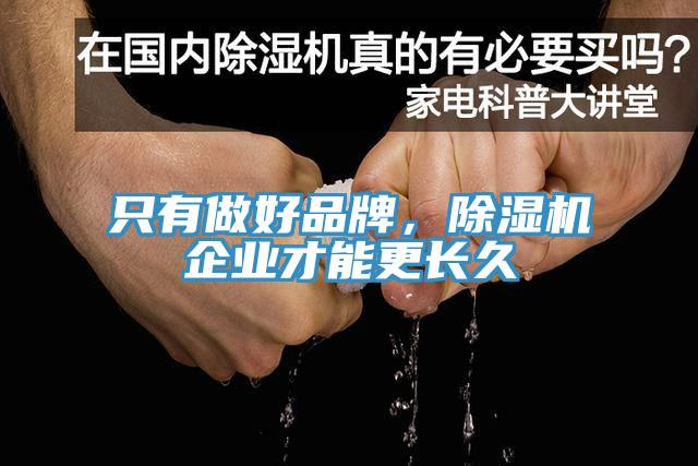 只有做好品牌，除濕機企業(yè)才能更長久