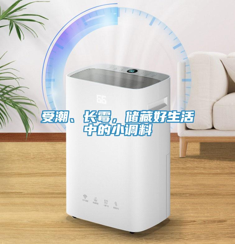 受潮、長霉，儲藏好生活中的小調(diào)料