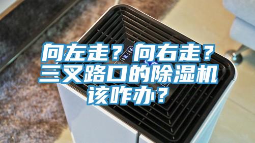 向左走？向右走？三叉路口的除濕機該咋辦？