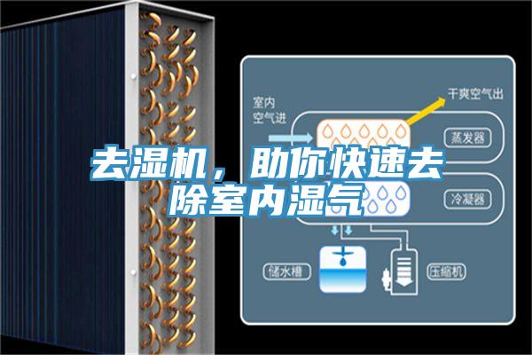 去濕機，助你快速去除室內(nèi)濕氣
