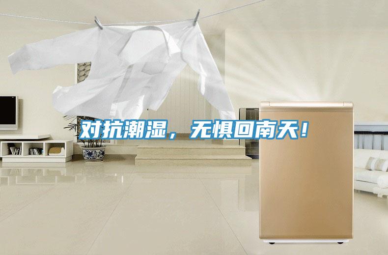 對抗潮濕，無懼回南天！