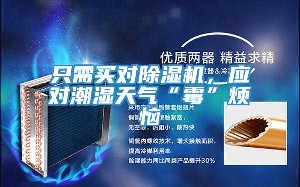 只需買對除濕機，應對潮濕天氣“霉”煩惱