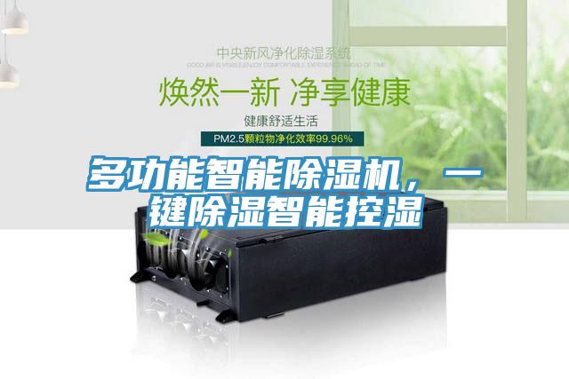 多功能智能除濕機，一鍵除濕智能控濕