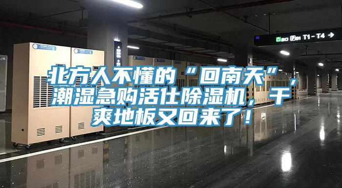 北方人不懂的“回南天”，潮濕急購活仕除濕機，干爽地板又回來了！