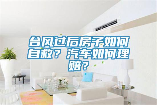 臺風過后房子如何自救？汽車如何理賠？