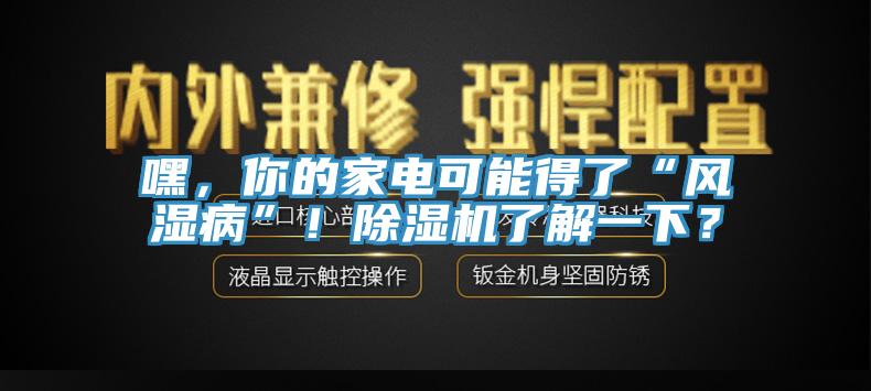 嘿，你的家電可能得了“風濕病”！除濕機了解一下？