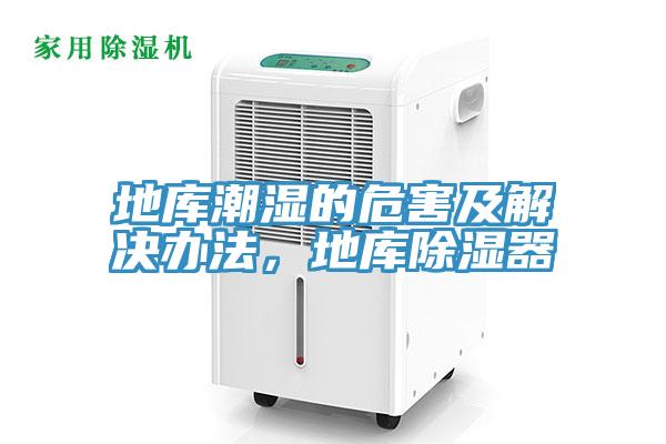 地庫(kù)潮濕的危害及解決辦法，地庫(kù)除濕器