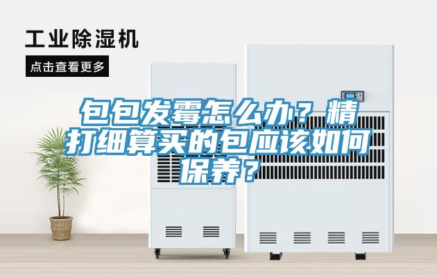 包包發(fā)霉怎么辦？精打細(xì)算買(mǎi)的包應(yīng)該如何保養(yǎng)？