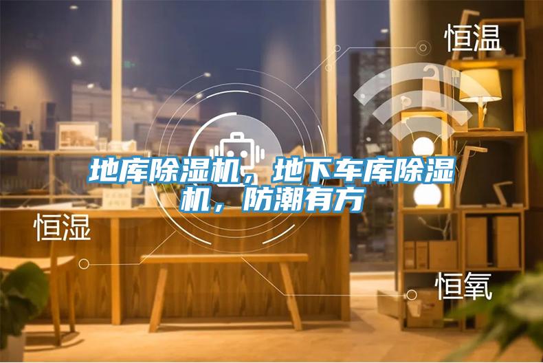 地庫(kù)除濕機(jī)，地下車庫(kù)除濕機(jī)，防潮有方