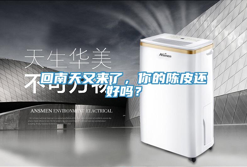 回南天又來(lái)了，你的陳皮還好嗎？