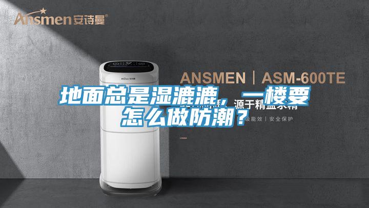 地面總是濕漉漉，一樓要怎么做防潮？